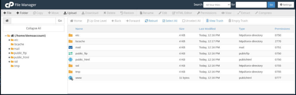 Ghid complet pentru utilizarea File Manager din cPanel