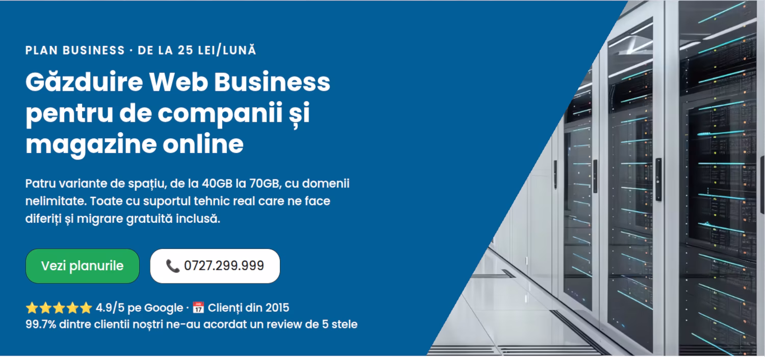 găzduire web Business