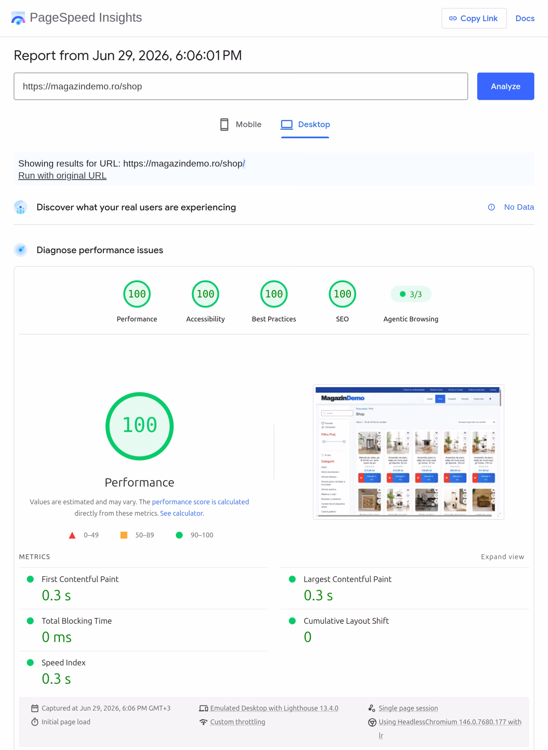 pagespeed Magazin online demo cu 35000 de produse